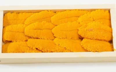 Uni – Goop of The Gods