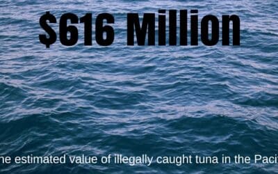 The true cost of illegal fishing