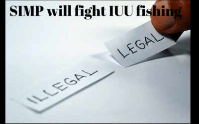 Newly announced Seafood Import Monitoring Program to hit IUU fishing where it hurts