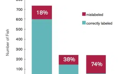 Sushi Restaurants Mislabeling Fish